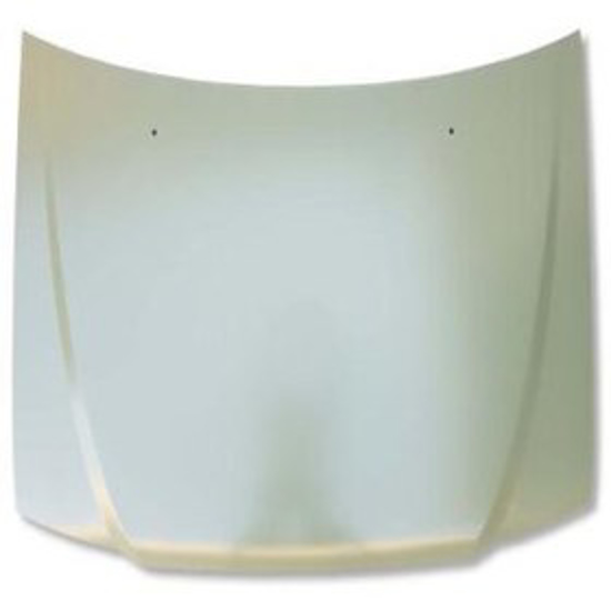 تصویر از درب موتور سمند بی نی سی