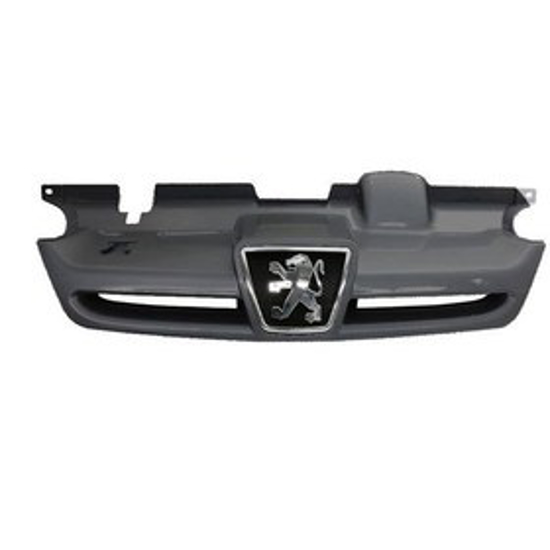 تصویر از جلو پنجره پارس خاکستری