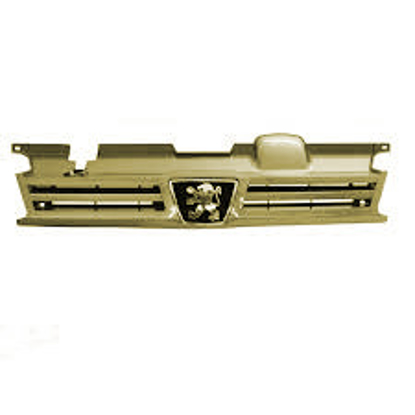 تصویر از جلو پنجره 405 بژ