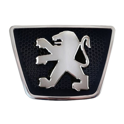 تصویر از آرم جلو پنجره پارس