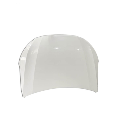 تصویر از درب موتور تارا شرکتی