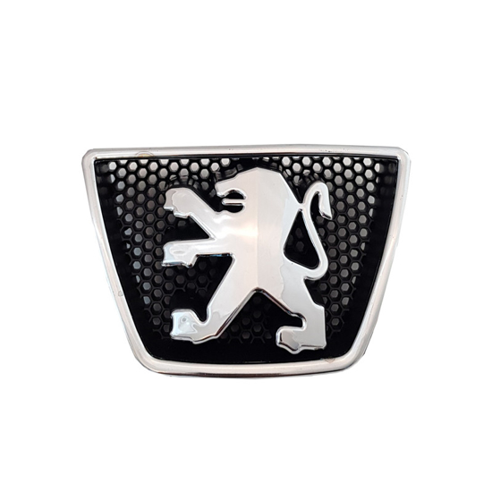 تصویر از آرم جلو پنجره 405