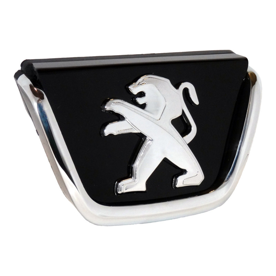 تصویر از آرم جلو پنجره 206