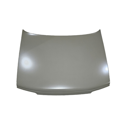 تصویر از درب موتور 405 همگام